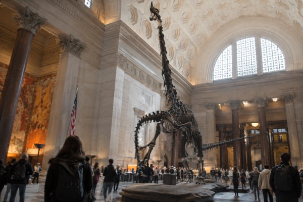 Natural History Super Saver Ticket, Upper West Side