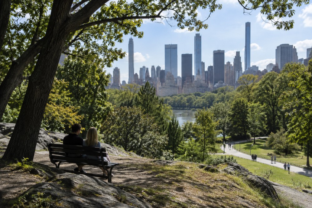 A quiet bench beside a tree-lined path in Central Park, with the Manhattan skyline in the background