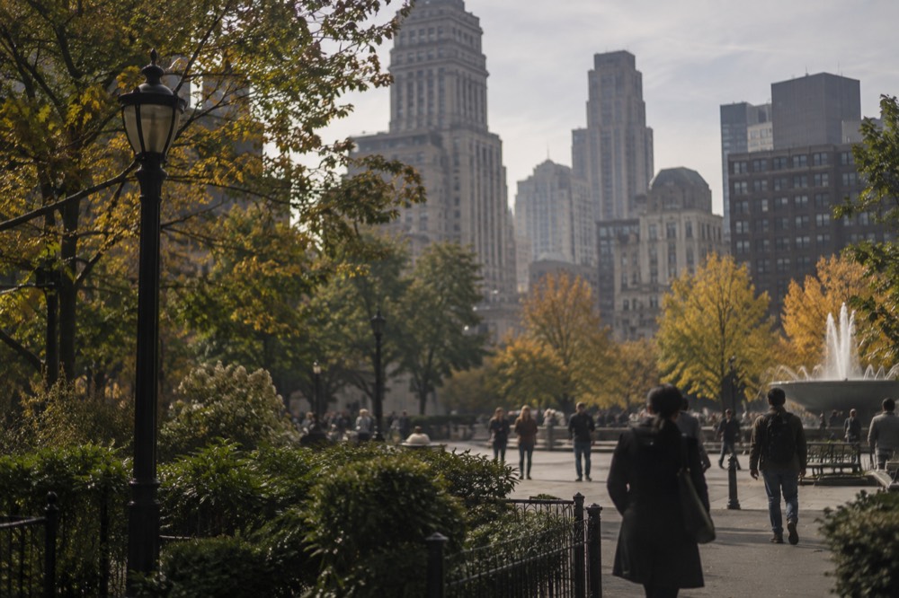 Downtown Buffalo buildings rising behind a public square with trees and walkways