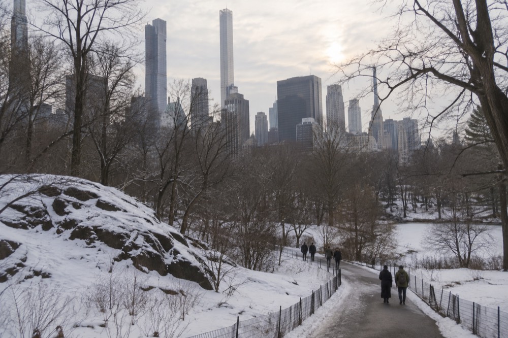 A snowy Central Park path with bare trees and the skyline behind it on a cold February morning