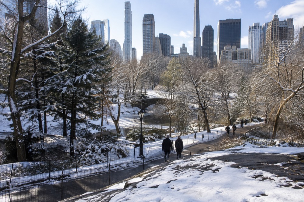 Snow-dusted trees along a Central Park path with the Manhattan skyline rising behind them