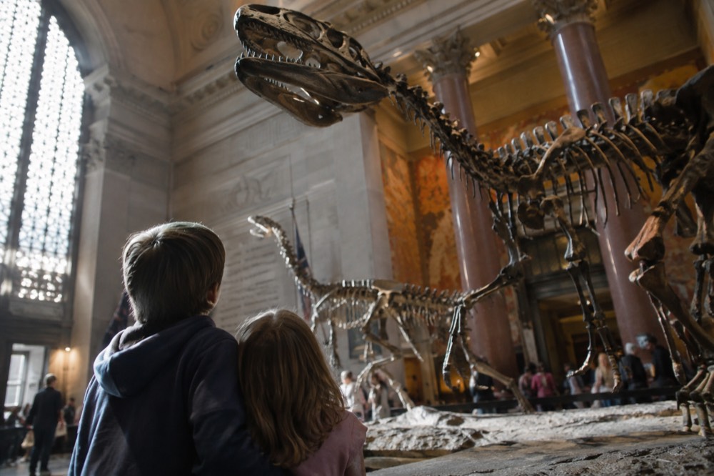 Children looking up at dinosaur skeletons in a museum hall