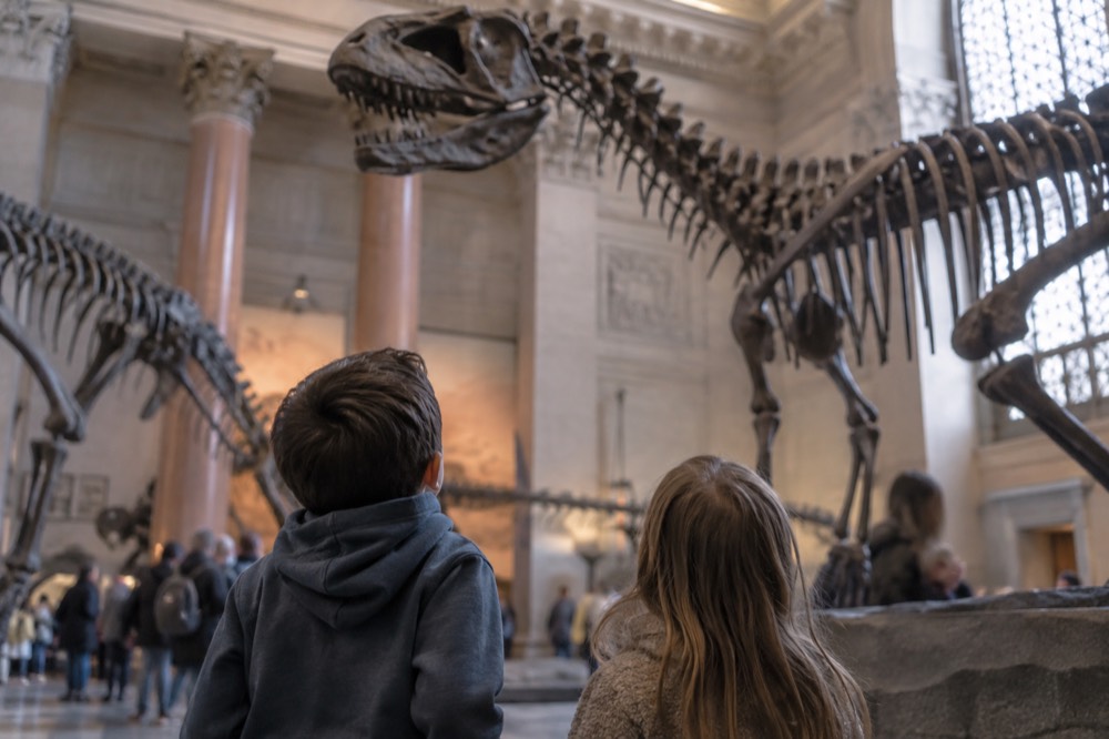 Two children looking up at the dinosaur skeletons in a large natural history museum hall