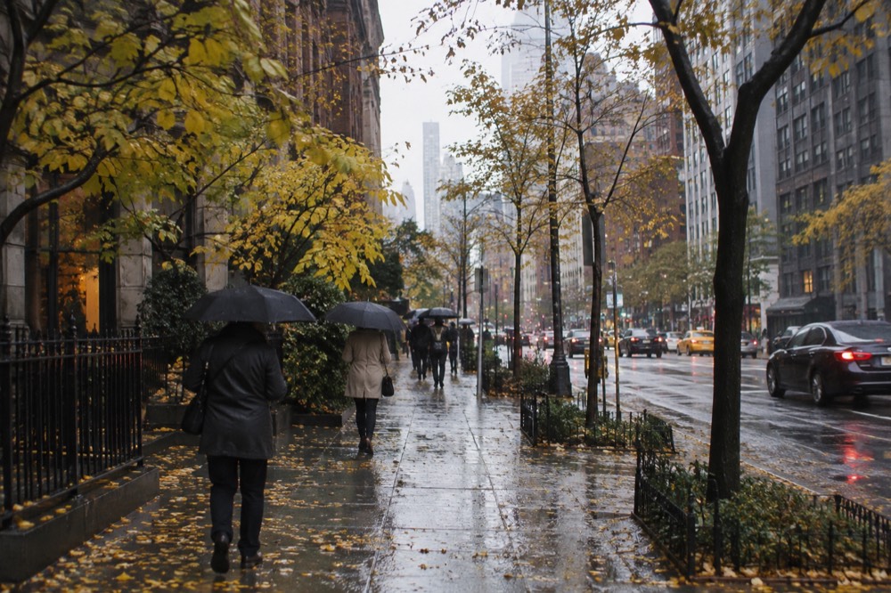 People walking with umbrellas on a tree-lined New York sidewalk with yellow fall leaves on the pavement