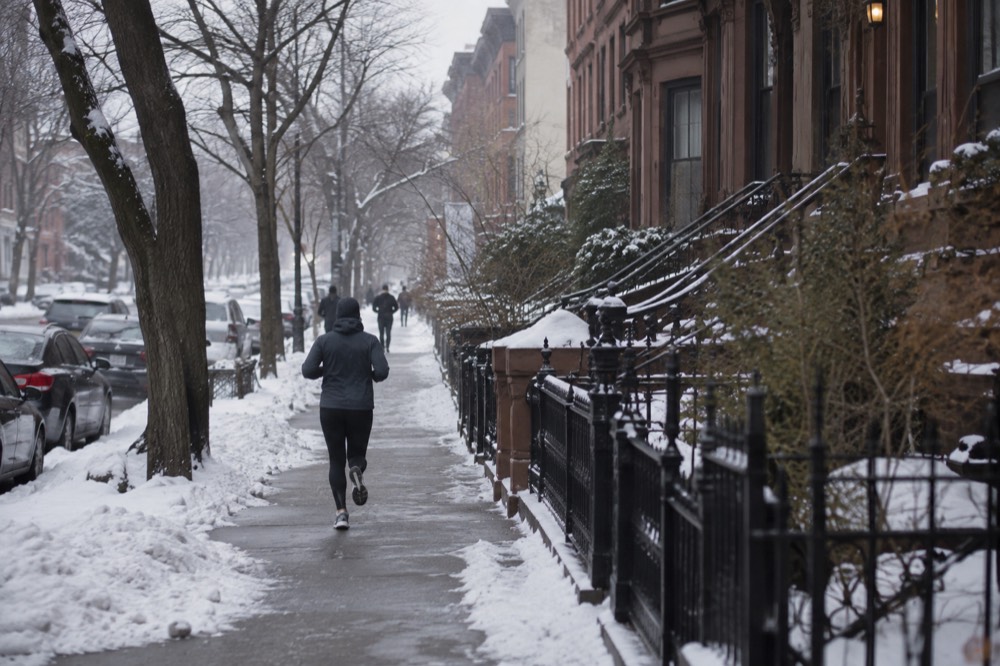 A snowy residential street in Brooklyn with brownstones and bare trees under a grey winter sky