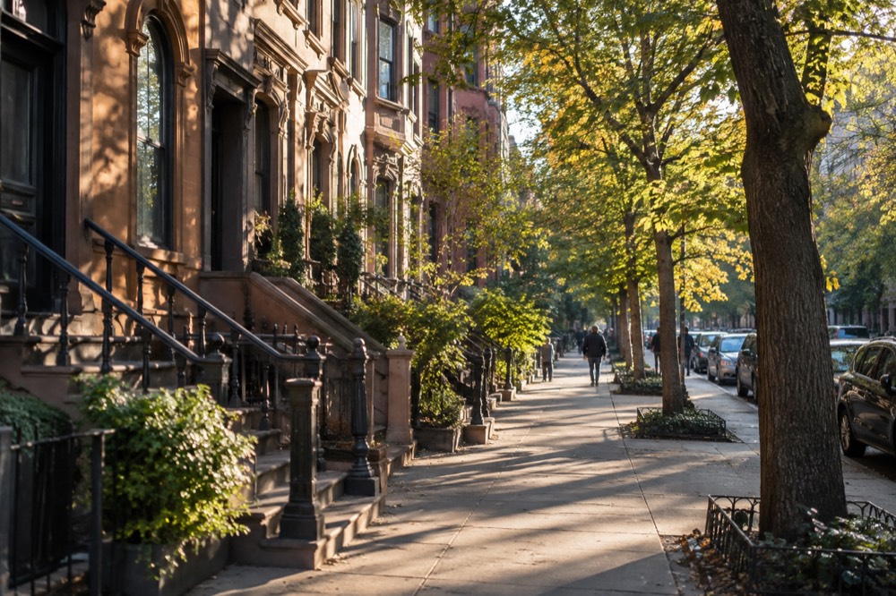 Brownstone row houses on a tree-lined Harlem street with the morning sun on their facades