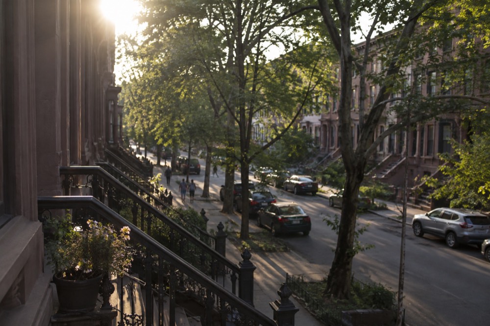 A quiet Harlem block of historic row houses with trees in leaf