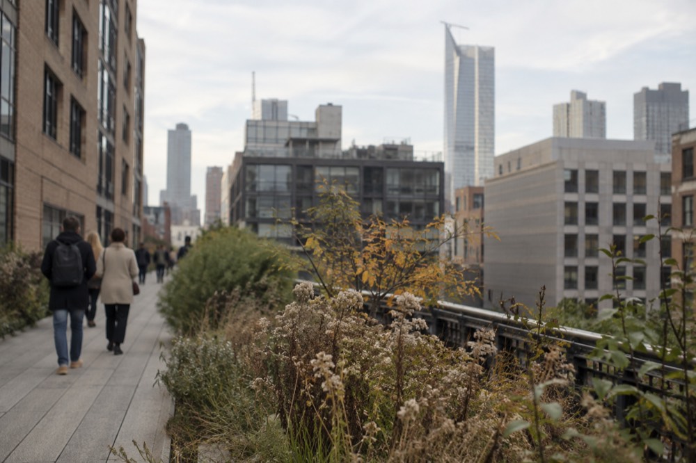 Elevated walkway of the High Line passing between buildings and gardens