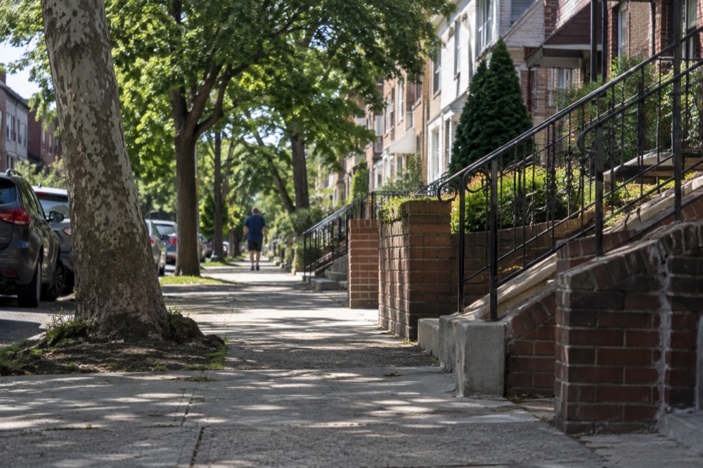 Rowhouses on a quiet Staten Island street with trees overhanging the sidewalk