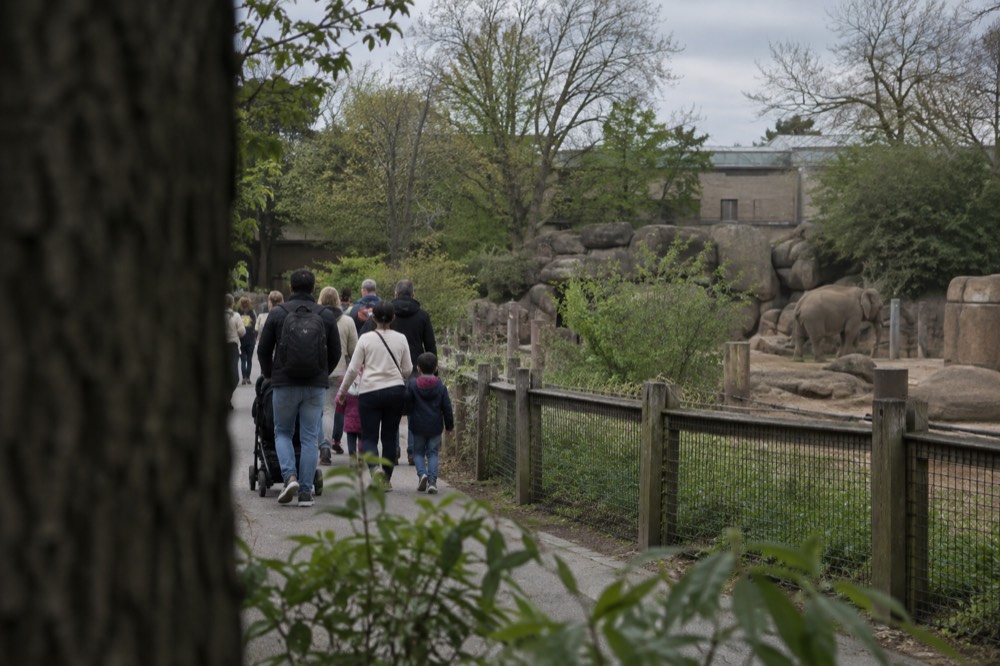 Families walking along a path past animal enclosures at a zoo