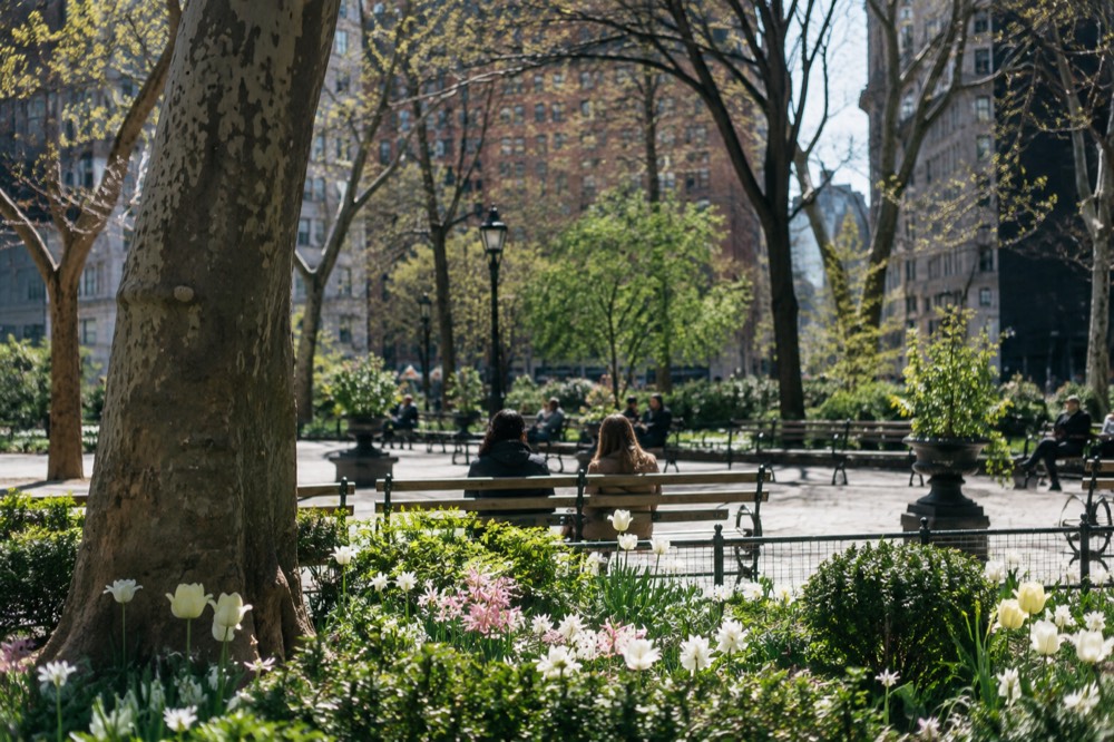 A small park with flower beds, benches and tall trees between city buildings
