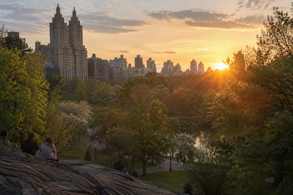 Apartment buildings seen across a green park landscape at sunset