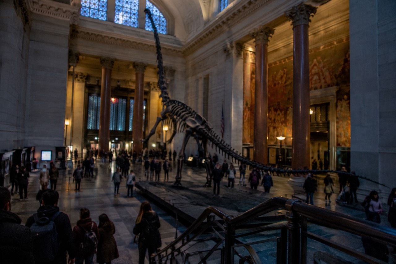 The grand entrance hall of a natural history museum with visitors gathered beneath a towering dinosaur skeleton