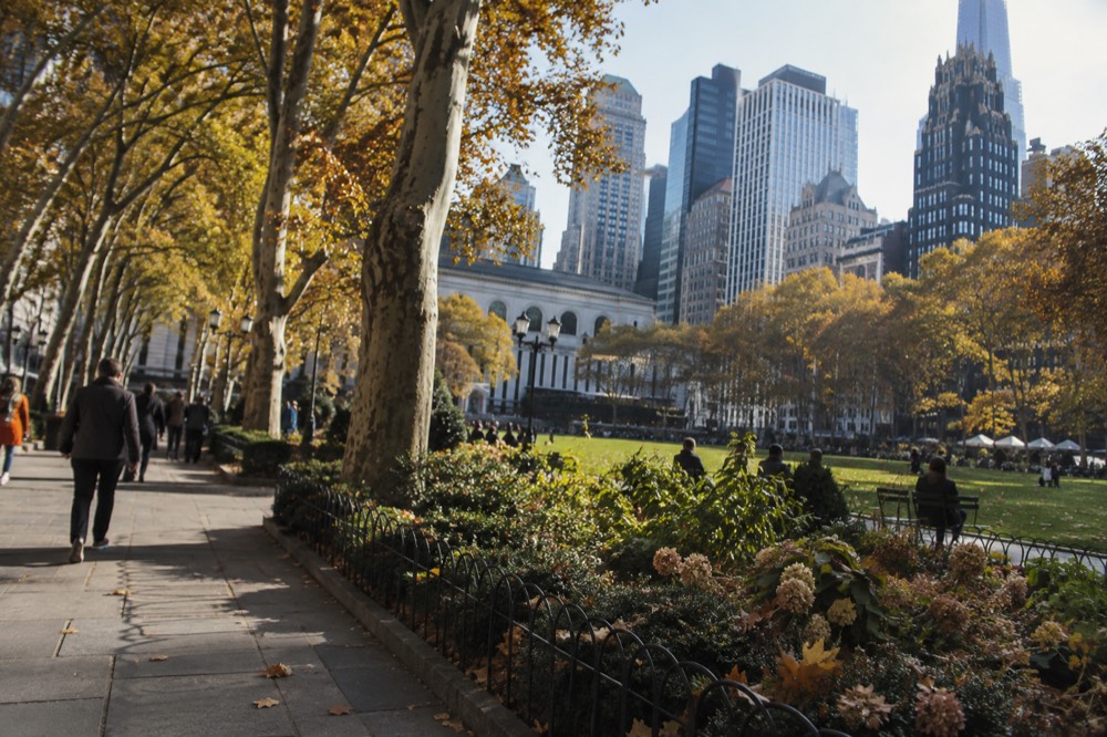 Autumn leaves on the trees surrounding the Bryant Park lawn on a clear day