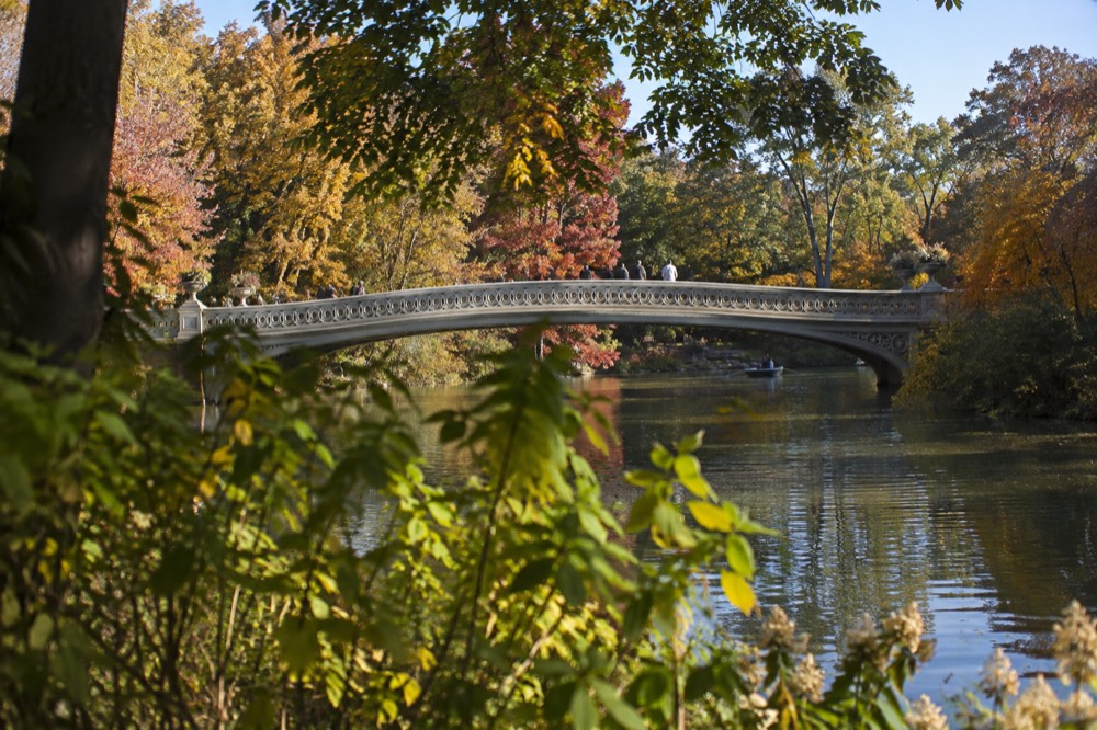Bow Bridge curving over the Central Park Lake in autumn