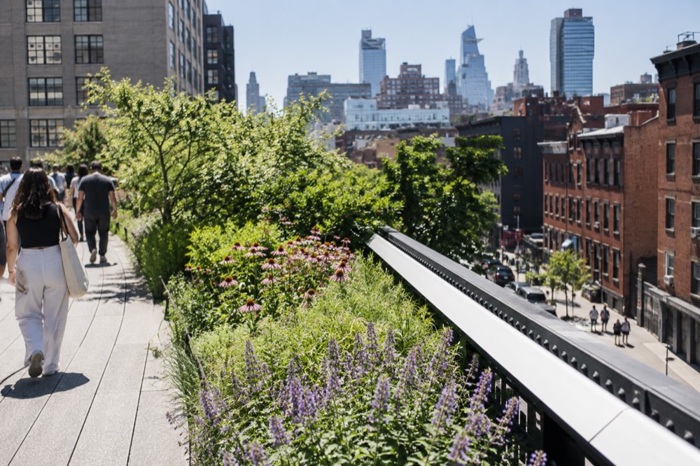 Flowering planting beds along the High Line walkway in late spring