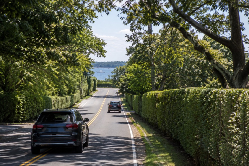 A two-lane road lined with tall hedges and mature trees leading toward the Hamptons