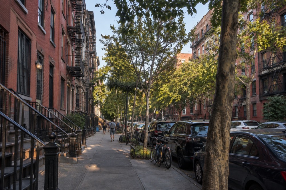 A row of brick apartment buildings on a tree-lined Lower East Side street in late afternoon light