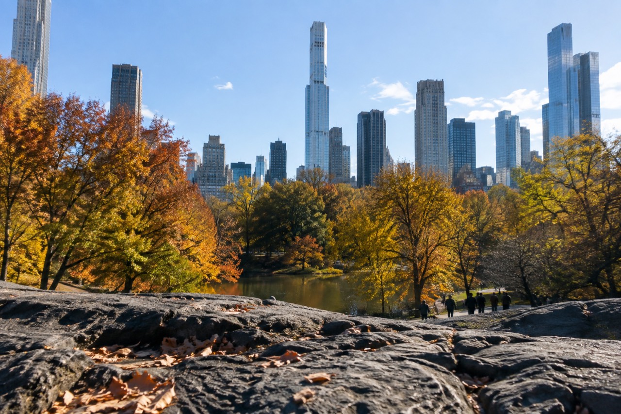 Manhattan skyline seen across Central Park with autumn trees in the foreground