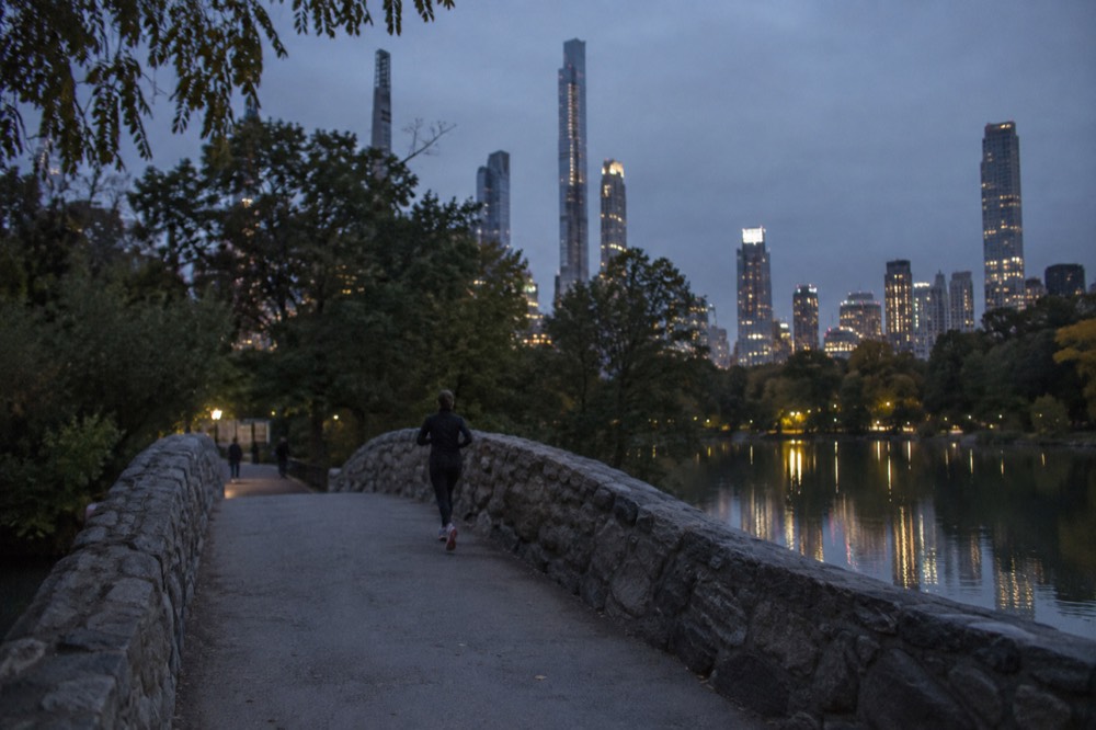 A stone bridge arching over a lake with trees and a city skyline in the distance