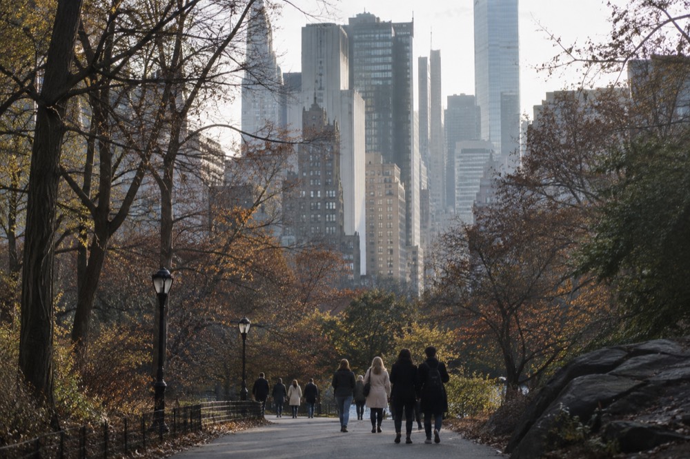 A wide park path in late afternoon light with tall buildings rising beyond the trees