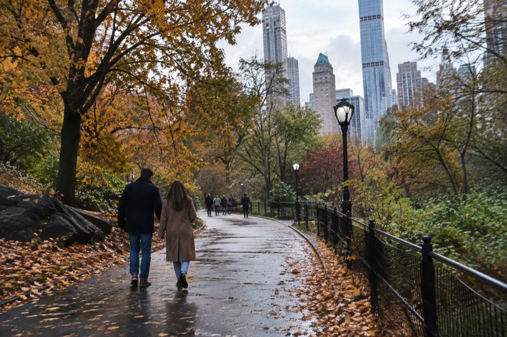 Fall foliage along a New York park path on a mild late-October afternoon
