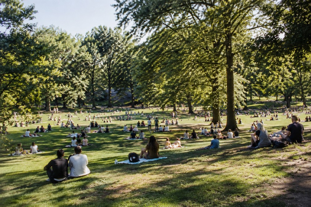 Wide lawn in Central Park crowded with people sitting on grass under tall trees