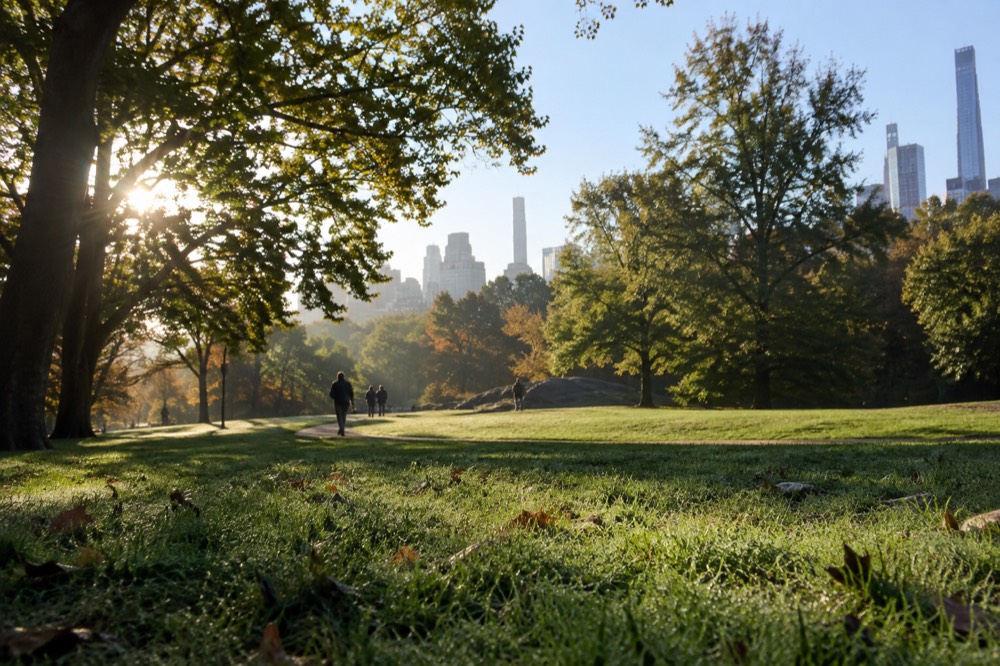 Rolling green lawn in Prospect Park with trees along the edge