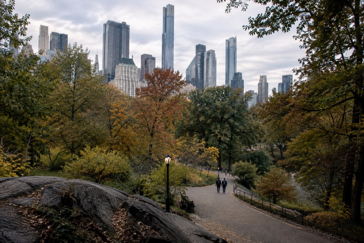 Tree-lined path in Central Park with the Manhattan skyline rising behind the trees