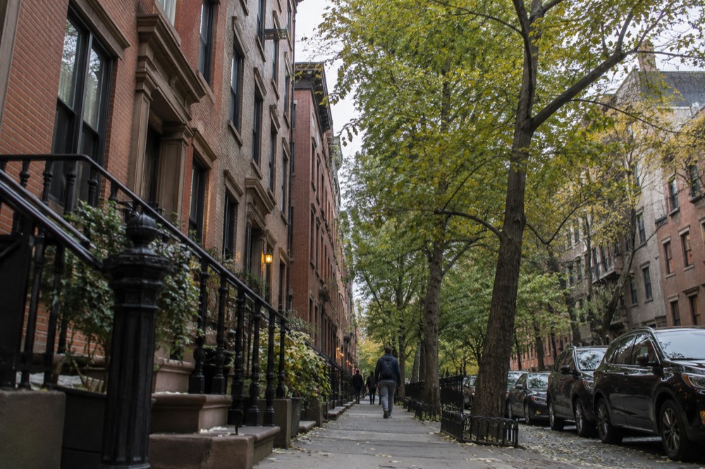 A quiet tree-lined street in Greenwich Village in late afternoon light, row houses on both sides