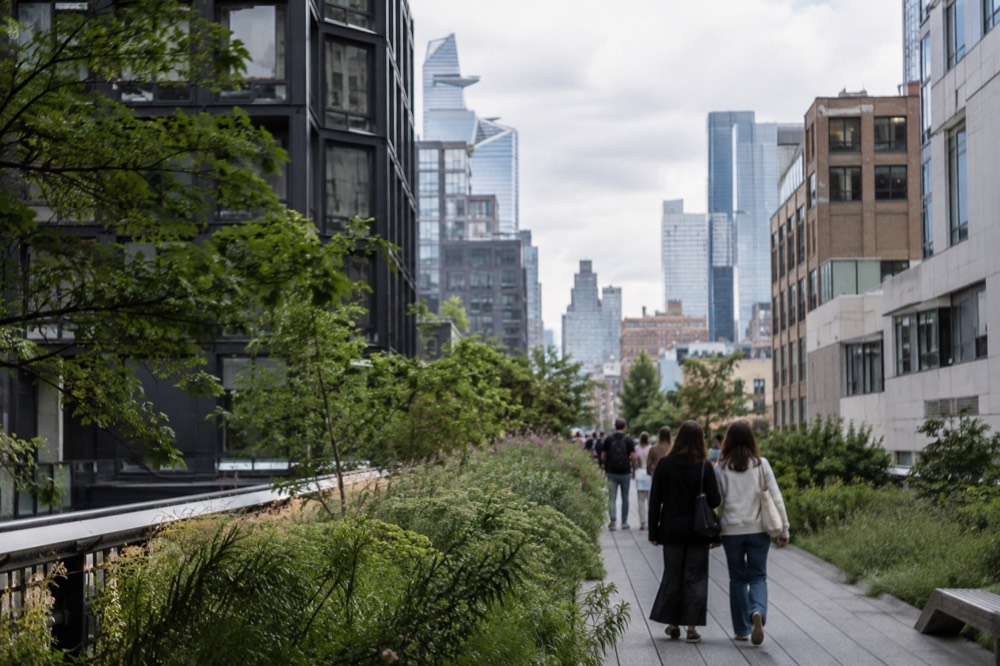 The elevated High Line walkway planted with grasses, with buildings on both sides