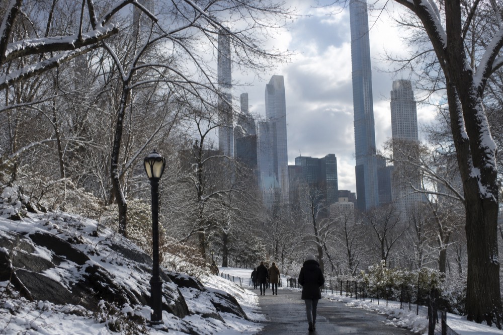 Snow-dusted trees lining a path in Central Park with the Manhattan skyline behind them