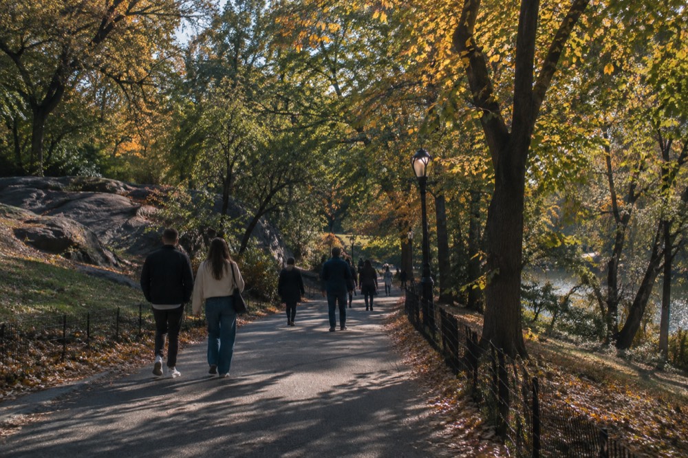 People strolling along a tree-lined path in Central Park in late afternoon light