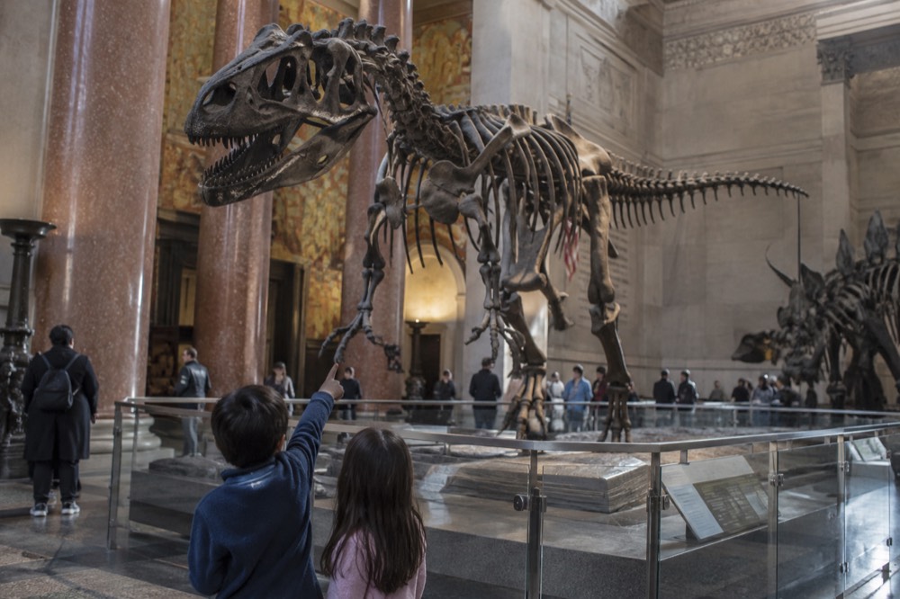 Children pointing at dinosaur skeletons inside a large natural history museum hall