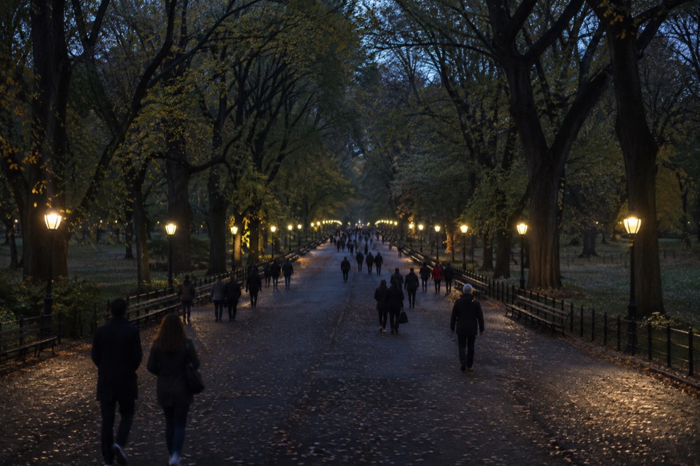 People strolling along the Mall in Central Park under tall elm trees